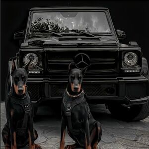 Meet your Posher, Leah